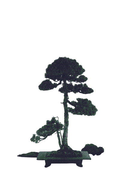 Centered Image