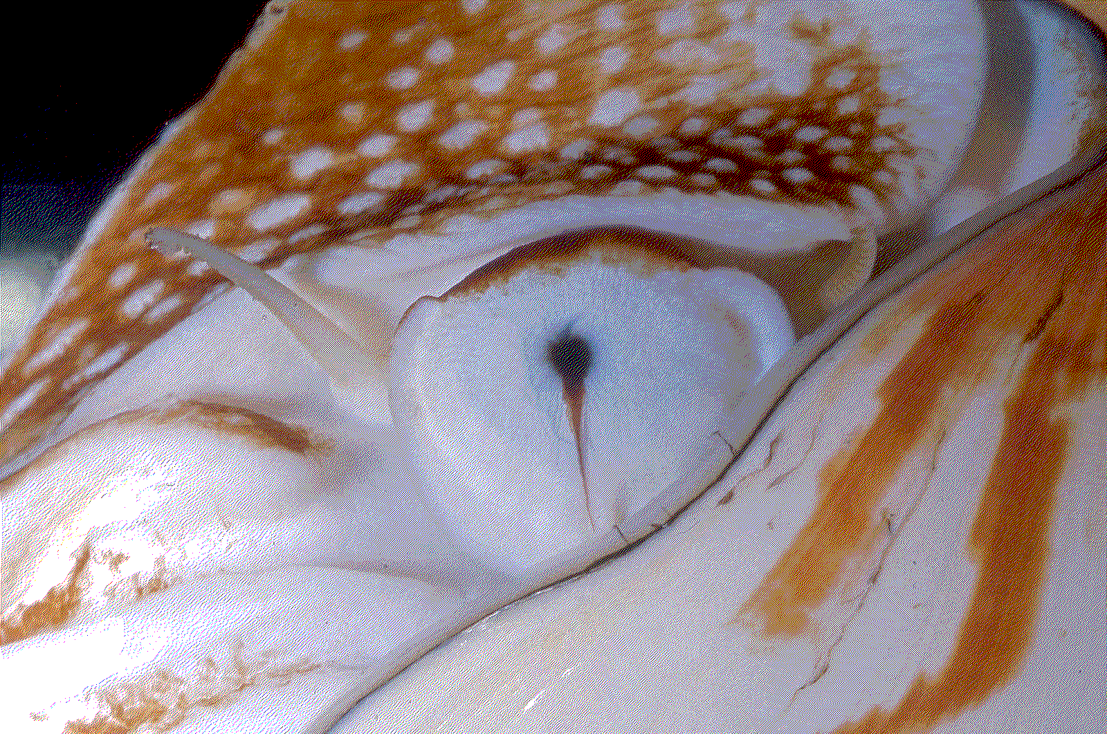 Nautilus 1
